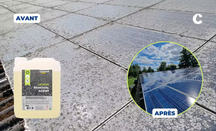 Lichen Removal Agent 2kg